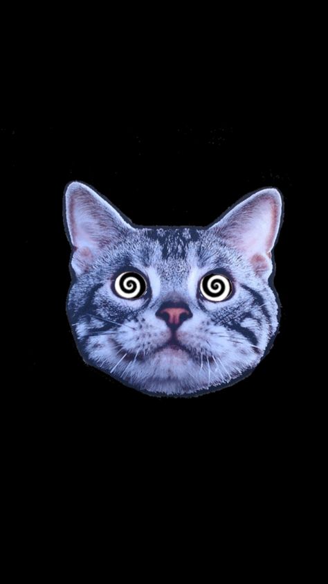 Cat Digital Drawing, Arte Grunge, Trippy Wallpaper, Graphic Poster Art, Cat Icon, Cat Artwork, Graphic Wallpaper, Cat Wallpaper, Weird Creatures