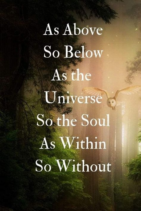 Yes yes yes Wicca Quotes, Pagan Quotes, Witchcraft Quotes, Wiccan Quotes, Witch School, Witch Quotes, As Above So Below, Wiccan Magic, Witch Spirituality