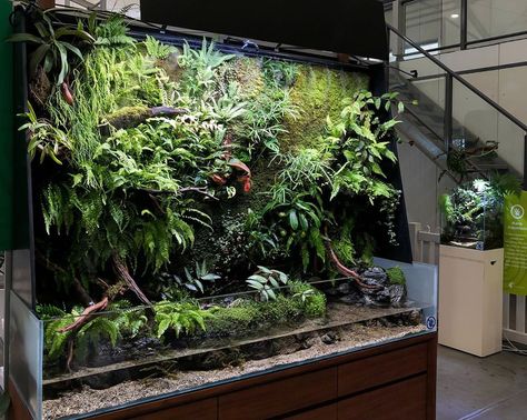 Botany Way Scapes|Aquascaping on Instagram: “Big space or small space? Everyone has room to bring a little more nature inside 🌱 . Check out these two stunning paludarium set ups that…” Aquascape Design, Aquascape Aquarium, Plant Display, Terraria, Vivarium, Fish Tanks, Hacking Computer, Indoor Plant, Sculptures & Statues