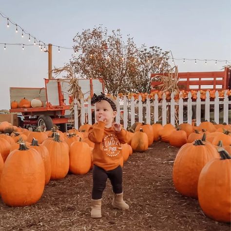 Dress your little one in adorable style for the pumpkin patch! This toddler outfit is perfect for the fall adventure. Featuring a cozy plaid shirt, comfy jeans, and cute boots, your child will be picture-perfect among the pumpkins. Capture precious memories and let the autumn fun begin! #ToddlerFashion #PumpkinPatchOutfit #FallAdventure #PlaidShirt #ComfyJeans #CuteBoots Pumpkin Patch Toddler Photoshoot, Toddler Pumpkin Patch Photos, Toddler Girl Pumpkin Patch Outfit, Maternity Pumpkin Patch Outfit, Toddler Pumpkin Patch Outfit, Baby Pumpkin Patch Outfit, Fall Pumpkin Patch Outfit, Pumpkin Patch Outfit Kids, Pumpkin Patch Kids