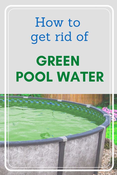 Green water can be a pain, but getting rid of it doesn't have to be! Green Pool Water How To Clear, Flowers To Attract Butterflies, Clear Pool Water, Green Pool Water, Flowers That Attract Butterflies, Steel Pool, Swimming Pool Maintenance, Cool Experiments, Swimming Pool Cleaning