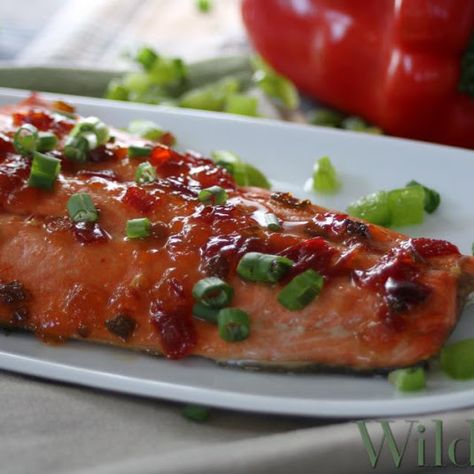 Honey-Glazed Drunken Salmon Salmon Healthy, Wildtree Recipes, Wild Tree, Orange Salmon, Healthy Salmon, Honey Glazed, Honey Glaze, Dinner Entrees, Salmon Recipe