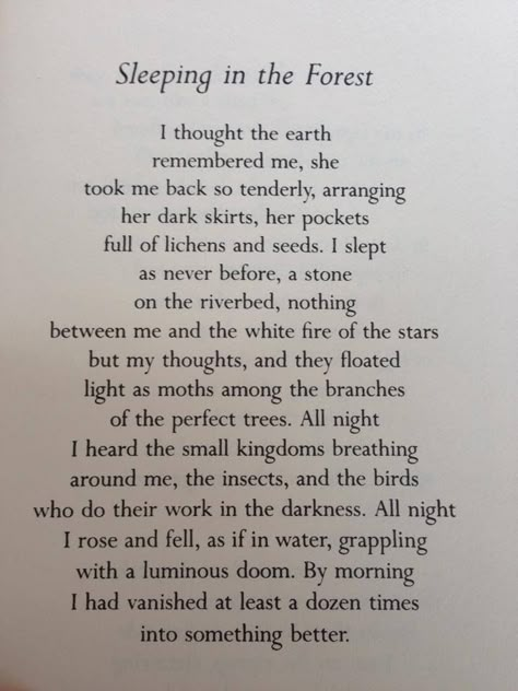 Poem by Mary Oliver. I love it so. Mary Oliver Quotes, Mary Oliver Poems, Whimsical Words, Poems About Love, Taylor Russell, Uplifting Thoughts, Poem A Day, A Walk In The Woods, Language And Literature