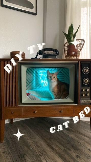 Old Tv Ideas Diy Projects Vintage Tv, Tv Cat Bed Vintage Tv, Old Tv Cat House, Retro Tv Cat Bed, Vintage Tv Cat Bed, Old Tv Cat Bed, Cat Couch Diy, Old Tv Ideas Diy Projects, Tv Cat Bed