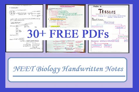 Class 11 Biology Notes, Biology Class 12, Biology Class 11, Class 11 Biology, Neet Biology, Neet Notes, Learn Biology, Biology Revision, Study Biology