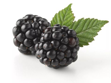 Black Raspberry vs. Blackberry: What's the Difference? Raspberry Extract, Nutrition Classes, Nutrition Store, Blackberry Cobbler, Black Raspberry Vanilla, Vanilla Fragrance, Black Raspberry, Fast Track, Fat Burner