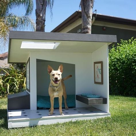 Luxury Dog House, Dog Backyard, Modern Dog Houses, Dog Bedroom, Build A Dog House, Outdoor Dog House, Dog House Plans, Cool Dog Houses, Dog Spaces