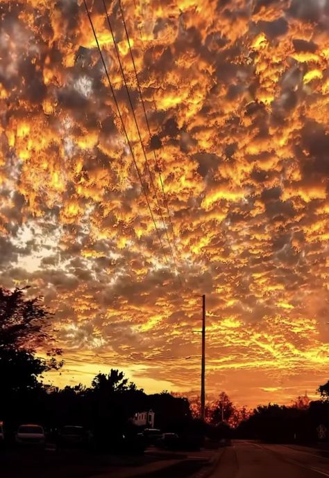 Orange Walk Town, Beautiful Sky Pictures, Sky On Fire, Molten Gold, Aesthetic Orange, Gold Skies, Pretty Aesthetic, Golden Sunset, Yellow Sky