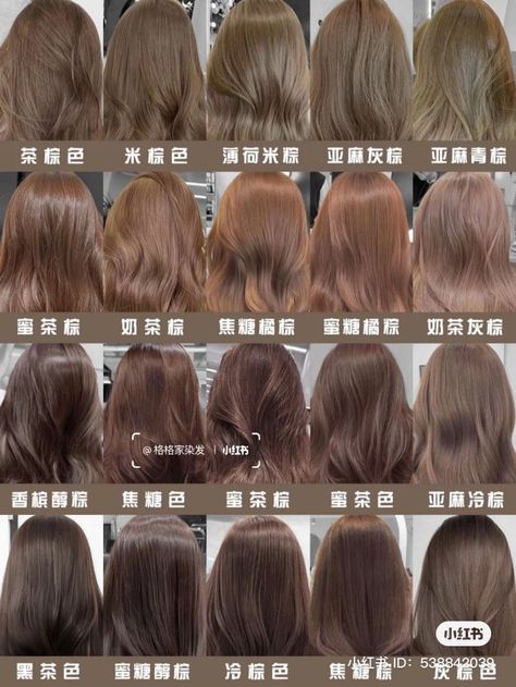 Korean Hair Color Trend 2023, Modern Waterfall, Waterfall Braids, Beige Hair, Korean Hair Color, Brown Hair Looks, Ash Hair Color, Brown Hair Inspo, Hair Color Chart