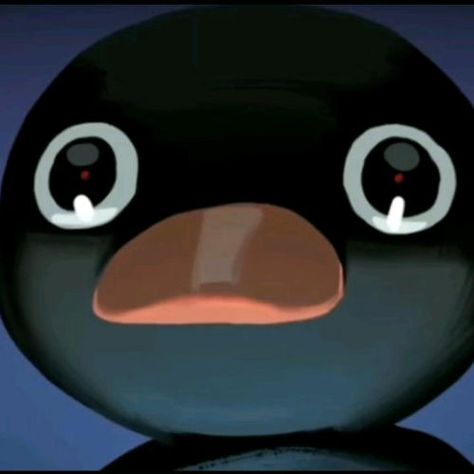 Coolest Profile Pictures, Cartoon Profile Pics Icons, Pingu Pfp, Pingu Icons, Pingu Wallpaper, Bird Pfp, Pingu Memes, Pingu Pingu, Cool Pfps For Discord