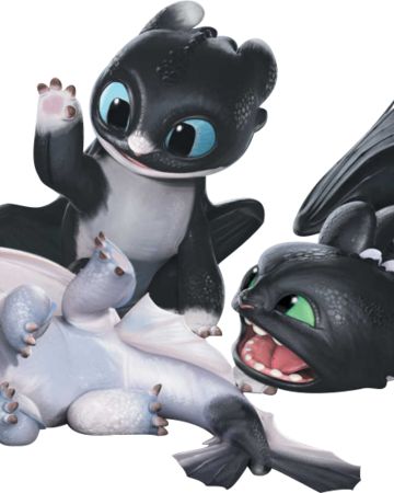 Night Light | How to Train Your Dragon Wiki | FANDOM powered by Wikia Ur Dragon, Baby Toothless, Bicolor Cat, Light Fury, Toothless Dragon, Fantasy Animals, Kawaii Things, Httyd Dragons, New Dragon