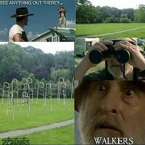 #TWD Walking Dead Meme, Zombies The Walking Dead, Twd Memes, Twd Funny, Walking Dead Funny, Walking Dead Zombies, Walking Dead Memes, Broken Humor, Z Nation