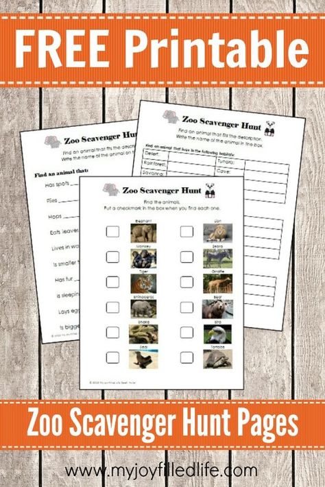 Zoo Scavenger Hunt Pages - 3 Levels Homeschool Zoo Trip Activities, Zoo Field Trip Activities Free Printable, Zoo Scavenger Hunt Printable Free, Zoo Scavenger Hunt Printable, Zoo Scavenger Hunt, Zoo Activities, Animal Report, Scavenger Hunt Printable, Homeschool Freebies