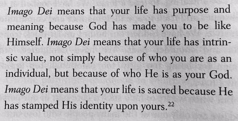 Imago Dei: your life is sacred because He has stamped His identity upon yours. Upon Awakening Aa, Imago Dei Tattoo, Motivation Manifesto, Imago Dei, Scripture Tattoos, God's Daughter, Image Of God, Gods Guidance, Bible Verse Background