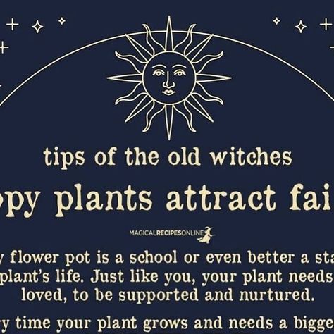 Magical Recipes Online on Instagram: "How to attract fairies 🧚‍♀️ https://www.magicalrecipesonline.com/2017/02/attract-fairies-in-your-home.html #fairies #fairy #fae #faemagick #fairymagic #magicalrecipesonline" Attract Fairies, Magical Recipes, Holistic Health Remedies, Fairy Magic, Plant Needs, Online Food, Book Of Shadows, Health Remedies, Plant Life