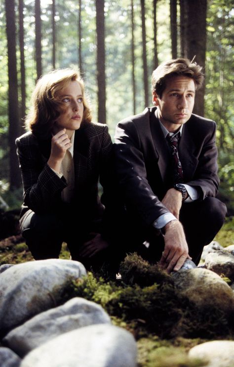 Mulder Scully, Fox Mulder, Dana Scully, David Duchovny, Movies And Series, Gillian Anderson, X Files, Psych, Series Movies