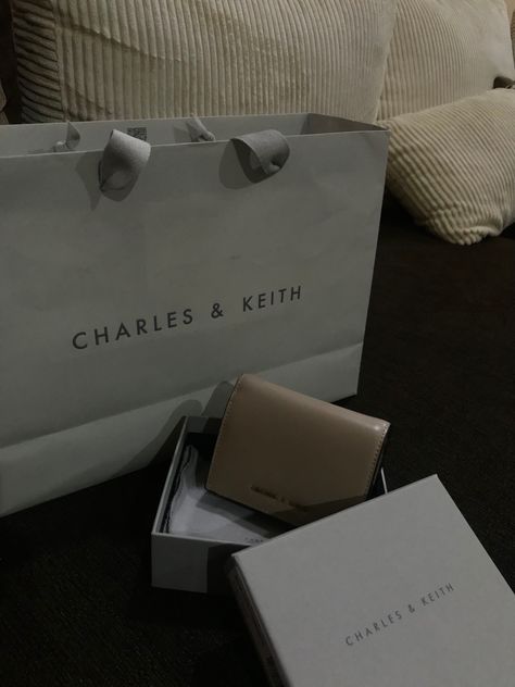 Charles And Keith Bags, Charles And Keith, Luxurious Life, Charles Keith, Rich Girl, Life Style, Collage, Pins, Gifts