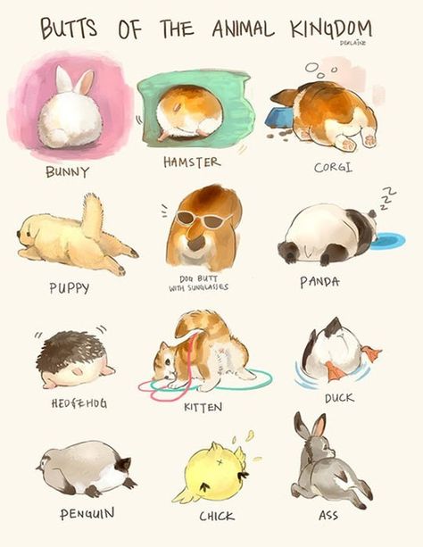 Butts Of The Animal Kingdom Animal Butts, Species Guide, Images Kawaii, 강아지 그림, Draw Animals, Wow Art, Kawaii Animals, Matte Eyeshadow, Welsh Corgi