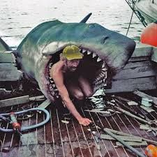 Jaws behind the scenes 1975. - Album on Imgur Shark Movies, Jaws 1975, Jaws 2, Jaws Shark, Shark Attacks, Jaws Movie, The Meg, Pet Sematary, Movie Cinema