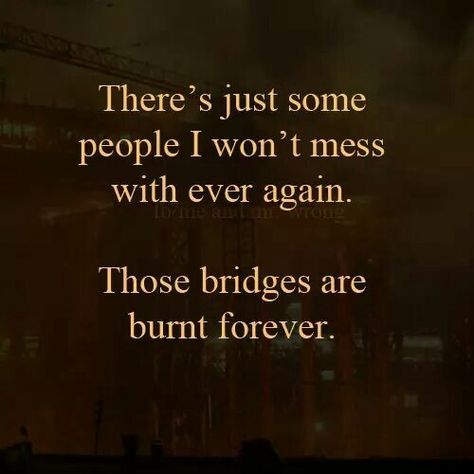 Burnt Bridges Burned Quotes, Burning Bridges, In Memes, Talking Quotes, Toxic People, All Quotes, Family Quotes, True Stories, Bridge