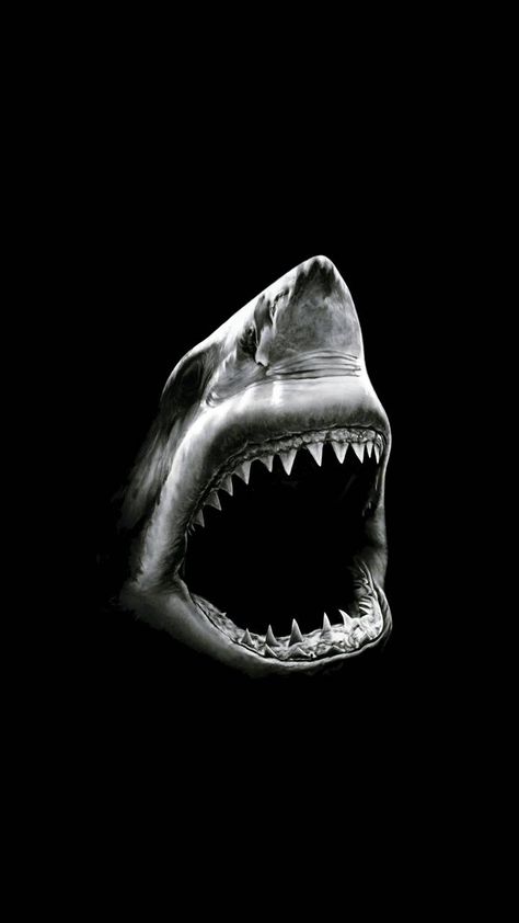 Download Black shark wallpaper by dellaya - a1 - Free on ZEDGE™ now. Browse millions of popular animal Wallpapers and Ringtones on Zedge and personalize your phone to suit you. Browse our content now and free your phone Shark Gif, Shark Background, Shark Wallpaper, Movies Wallpaper, Shark Tale, Cool Sharks, Shark Photos, Shark Pictures, Shark Drawing