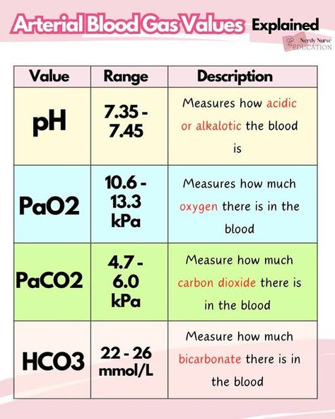 Lauren - Nursing made easy on Instagram: "ABG values explained simply   #nursingclinicals #nurseuk #pathophysiology #pathophysiologyofdisease #traineenurseassociate #nursingstudentsofinstagram #studentnursestudytips #studentnurses #studentnurseproblems #futurenurses #nursingresources #nurseintraining #nurseinprogress #nursetobe #adultnursing #nursingassociates #traineenursingassociates #traineenurseassociate #traineenursingassociate #studentnursestruggles #studentpaediatricnurse #studentparamedicsuk #studynursing #studentnurseuk #studentnurse #nursingnotes #nursingstudent #studentnursesofinstagram #studentparamedic #studentnurse #nerdynurseuk  #arterialbloodgas" Advance Pathophysiology Nursing, Nursing Abgs, Intrapartum Nursing, Abg Nursing, Pathophysiology Nursing, Nursing Fundamentals, Nerdy Nurse, Nurse Study, Arterial Blood Gas