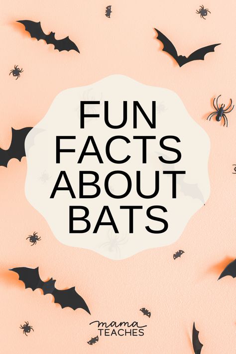 Fun Facts About Bats - Mama Teaches Bat Games For Kids, Fun Facts About Halloween, Preschool Bats, Bat Facts Preschool, Bat Science, Bat Facts For Kids, Facts About Bats, Bat Party, Fall Facts