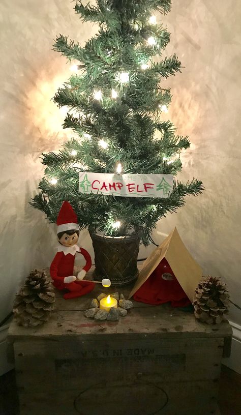 Elf Camping Ideas, Elf On The Shelf Campfire, Elf On The Shelf Christmas Tree Farm, Elf Camping, Elf On The Shelf Camping, Bookstore Window, Elf Shenanigans, Holiday Inspo, Elf Activities