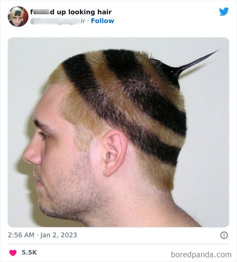 This Twitter Page Shares Photos Of ‘Effed Up Looking Hair’, And Here Are 40 Of The Most Hilarious Pics Horrible Haircuts, Weird Haircuts, World Hair, Bad Haircut, Flat Hair, Very Funny Pictures, Creative Hairstyles, Short Hair With Bangs, Buzz Cut