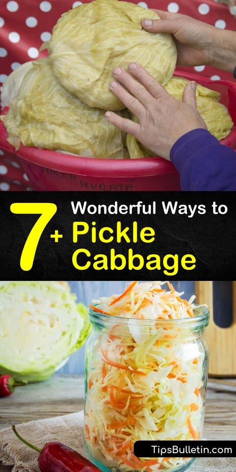 German Pickled Cabbage, Canning Pickled Cabbage Recipe, Chinese Pickled Cabbage, Cabbage Pickle Recipe, Pickled Cabbage Recipe, Quick Pickled Cabbage, Pickled Veggies Recipe, Canning Cabbage, Canning Pickles Recipe