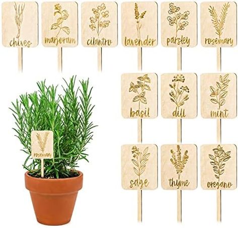 Whaline 24Pcs Wooden Plant Labels Sign Planted Herb Markers Garden Labels with Printed Herb Name Indoor Outdoor Herb Garden Stakes Nursery Plant Tags Garden Decoration Gift, 12 Styles Nursery Plant, Outdoor Herb Garden, Herb Markers, Plant Party, Identify Plant, Garden Labels, Plant Tags, Plant Labels, Herb Pots