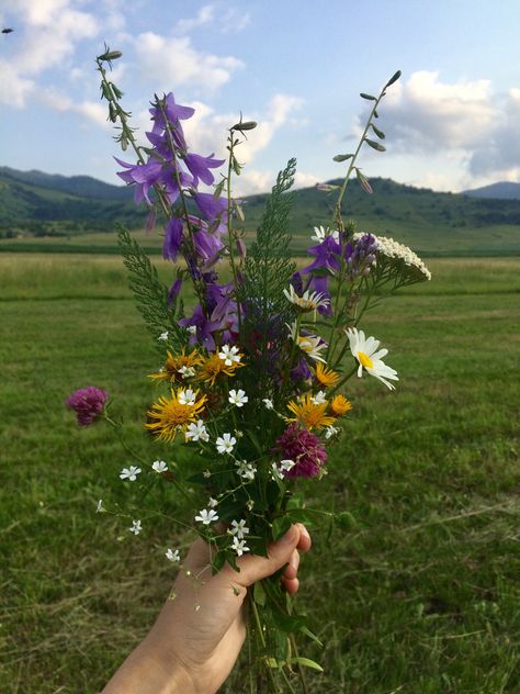 Milica Core, Carly Core, Wildflowers Bouquet, Bouquet Of Wildflowers, Nothing But Flowers, Wildflower Bouquet, Flower Therapy, Language Of Flowers, Beautiful Bouquet Of Flowers