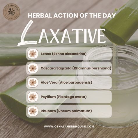 Natural ways to support digestive health by stimulating bowel movements and relieving constipation. These herbs can be particularly useful in situations such as: 🌿 Constipation Relief: Helping to alleviate occasional constipation and promote regularity. 🌿 Digestive Health: Supporting overall digestive health and function. 🌿 Detoxification: Aiding in the body's natural detoxification processes by promoting regular bowel movements. How They Work Laxative herbs exert their effects through va... Herbs For Constipation, Natural Remedy For Constipation People, Stomach Massage For Constipation, Gut Health Digestive Enzymes, Bowel Movement, Regular Bowel Movements, Constipation Relief, Vitamins & Supplements, Digestive System