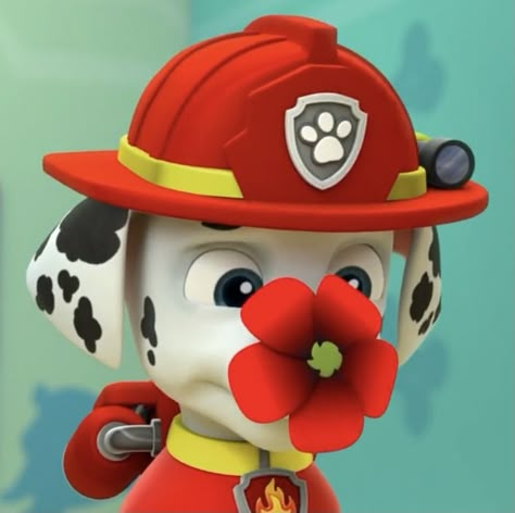 Paw Patrol Astethic, Paw Patrol Aesthetic, Rocky From Paw Patrol, Marshall Wallpaper, Paw Patrol Shirt, Paw Patrol Marshall, Paw Patrol Cartoon, Everest Paw Patrol, My Little Pony Rarity