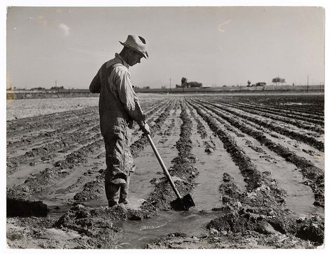 Farmer Working, Agriculture Photography, Rural Photography, Farm Photography, Indigenous People, Historical Pictures, Hand Art Drawing, Cool Art Drawings, Art Journal Inspiration