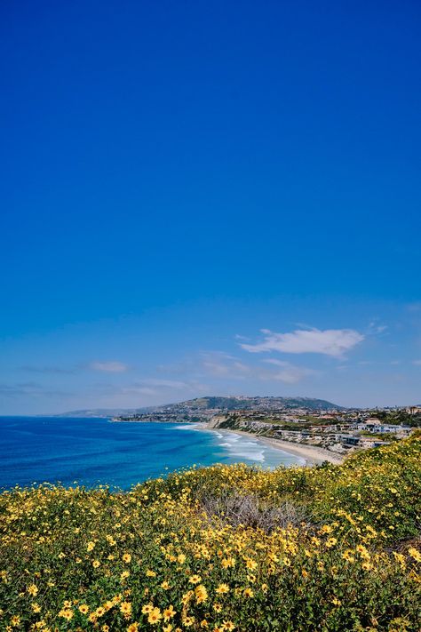 What activities give you access to mountaintop views of the Pacific Ocean and a great workout? Dana Point hiking and mountain biking. These two land-based activities might take you away from the beautiful beaches in Dana Point but they’ll give you a new perspective on this Southern California paradise. And you can always jump into the ocean at Baby Beach to cool off after. Dana Point California, Southern California Beaches, California Hikes, California Vibe, Highway 1, Nature Tour, Baby Beach, Hiking Spots, Cali Girl