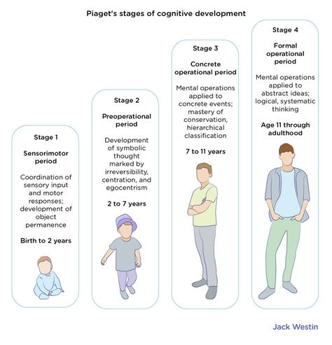 Piaget Stages Of Development, Piaget Theory, Child Development Stages, Object Permanence, Student Tips, Nursing Student Tips, Jean Piaget, Research Writing, Developmental Stages