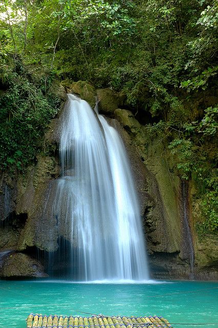 Kawasan Falls Cebu, Falls Philippines, Kawasan Falls, Philippines Cebu, Kolam Air, Amazing Wallpapers, Philippines Culture, Cebu Philippines, Water Falls