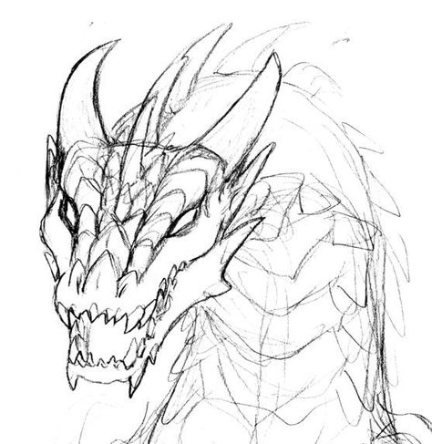 Dragons Face, Face Coloring Pages, Dragon Head Drawing, Face Coloring, Dragon Poses, Dragon Anatomy, Dragon Drawings, Dragon Base, Dragon Coloring