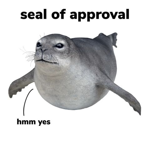 Seal With Headphones, Funny Seal Pictures, Seal Silly, Alien Seal, Seal Oc, Seal Aesthetic, Seals Cute, Seal Meme, Seal Icon