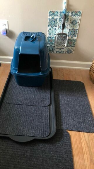 Cat Litter Box Organization, Litter Scoop Holder Diy, Litter Box Setup For Multiple Cats, How To Keep Cat Litter Off The Floor, Cat Litter Box Area, Cat Litter Storage Container, Cat Litter Tracking Solutions, Dollar Tree Cat Ideas, Cat Litter Area Ideas