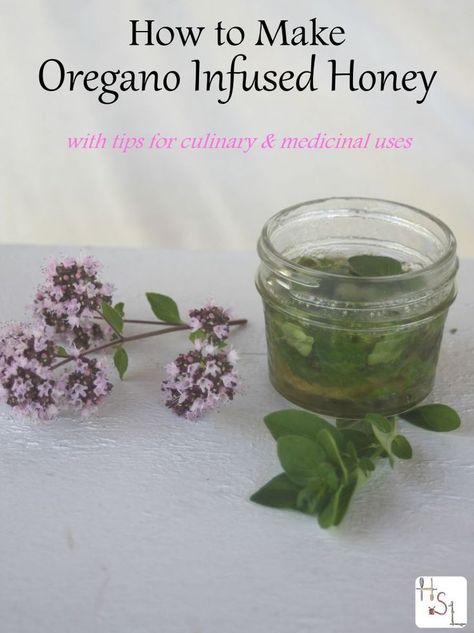 Learn how to make oregano infused honey as a way to save the herb for culinary and medicinal uses later. Oregano Oil Benefits, Infused Honey, Oregano Oil, Herbal Recipes, Culinary Herbs, Cold Home Remedies, Herbs For Health, Healthy Benefits, Honey Recipes