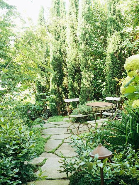 Gardens Design, Small Yard, Patio Stones, Gorgeous Gardens, Green Garden, Garden Cottage, Green Life, Landscape Projects, Landscape Ideas