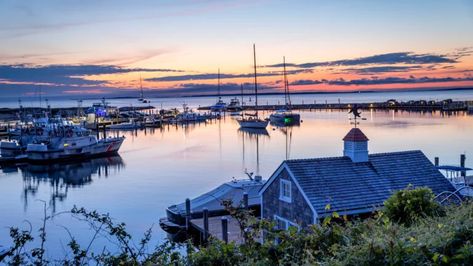 36 hours on Martha’s Vineyard Vineyard Tattoo, Nature Tourism, Green Front Doors, Oak Bluffs, Martha’s Vineyard, New England Travel, Labor Day Weekend, Wildlife Sanctuary, Martha's Vineyard