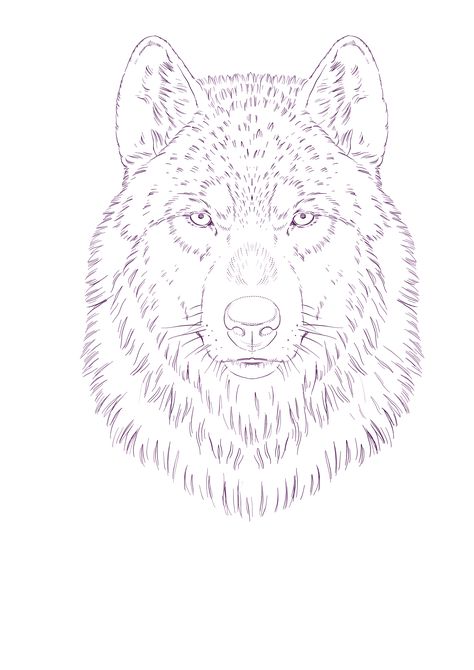 Realistic Wolf Tattoo Stencil, Wolf Head Tattoo Stencil, Wolf Tattoo Stencil Design, Tree Tattoo Stencil Outline, Wolf Tattoo Outline, Wolf Tattoo Sketch, Wolf Tattoo Stencil, Wolf Outline, Wolf Stencil