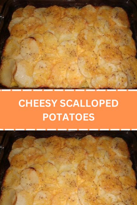 CHEESY SCALLOPED POTATOES Baked Scalloped Potatoes, Cheese Scalloped Potatoes, Cheesy Scalloped Potatoes Recipe, Baked Potato Slices, Creamy Scalloped Potatoes, Scalloped Potatoes Recipe, Cheesy Scalloped Potatoes, Comfort Dinner, Scalloped Potatoes Cheesy