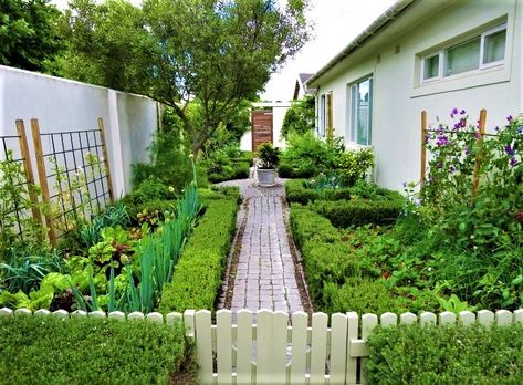 Sometimes the best position for a food garden isn't in the back yard! This narrow space has been divided with a pathway and picket fence to keep animals out with a feature pot beyond. Trellises at the back of raised gardens are perfect for climbers to take advantage of sunny vertical space & add interest to break up pale walls. More design tips: https://themicrogardener.com/design-tips-for-a-productive-kitchen-garden/ | The Micro Gardener Side House Garden, Potager Garden, Fall Garden Vegetables, Edible Landscaping, Veg Garden, Side Garden, Pallet Garden, Spring Plants, Island House