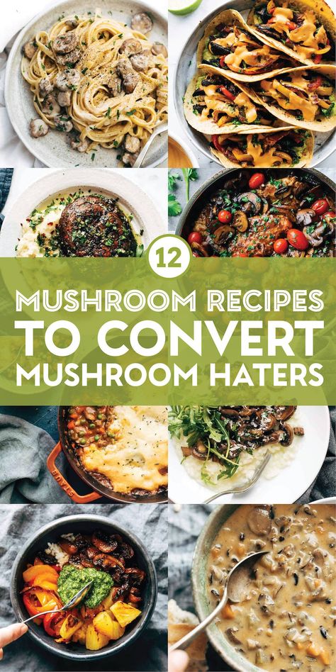 Comb Tooth Mushroom Recipes, Mushroom Entree Recipes, Recipes Using Mushrooms, Mushroom Dinner Recipes, Recipes With Mushrooms, Recipe With Mushrooms, Best Mushroom Recipe, Mushrooms Recipes, Mushroom Recipes Healthy