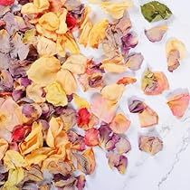 Biodegradable Wedding, Roses Petals, Dried Roses, Real Rose Petals, Flower Confetti, Valentine's Day Party, Real Rose, Dried Rose Petals, Kids Gift Guide