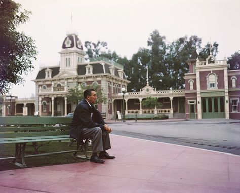 This Is What Disneyland's Opening Day Looked Like In 1955 Disneyland Opening Day, Disneyland Vintage, Magical Pictures, Walter Elias Disney, Wonderful World Of Disney, Disney Vintage, Disney Dreams, Vintage Disneyland, Disney Things